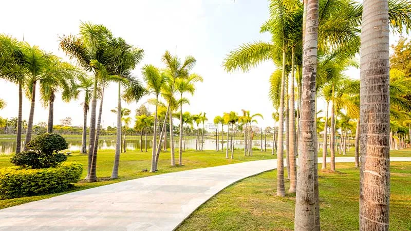 Al Legtaifiya Park
