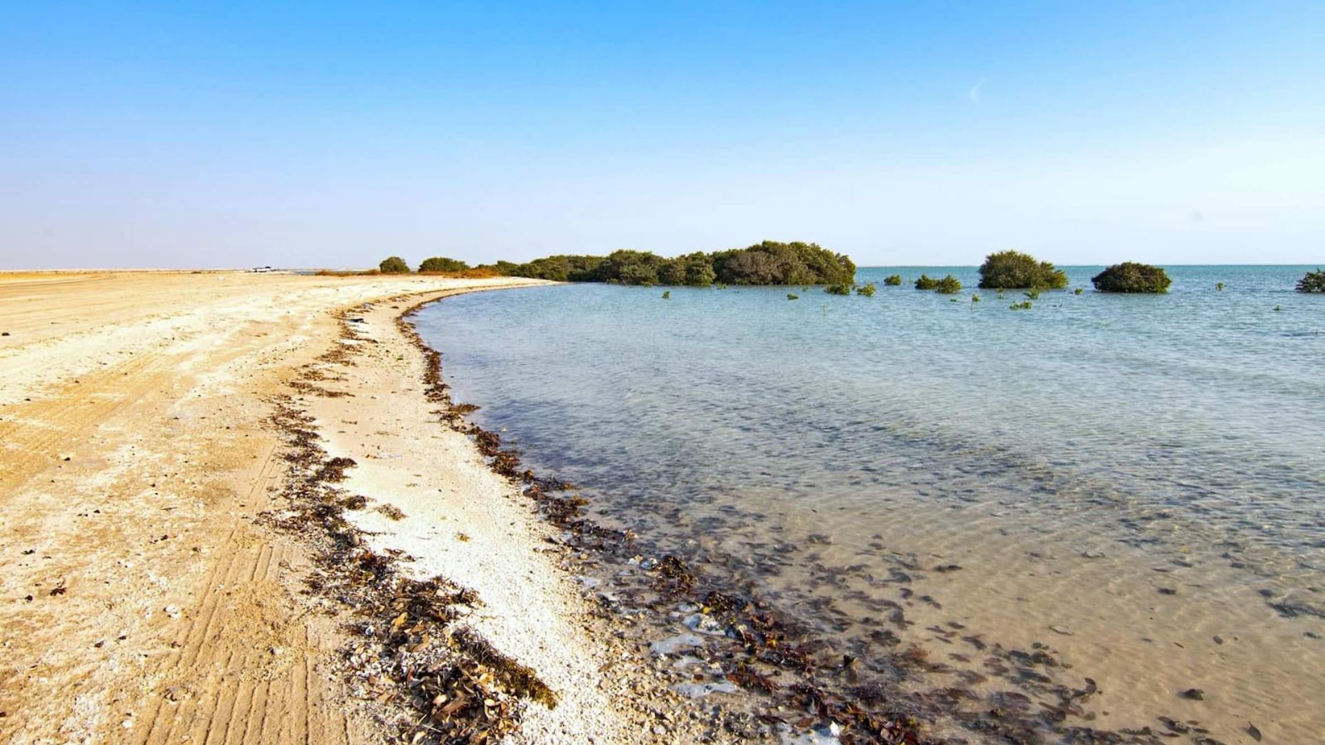 Al Thakira Fishing Spot
