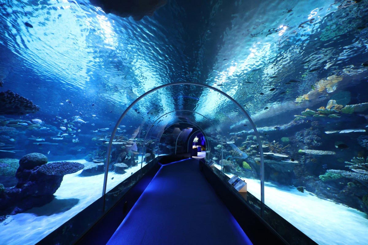 Hamad Port Visitors Centre Aquarium