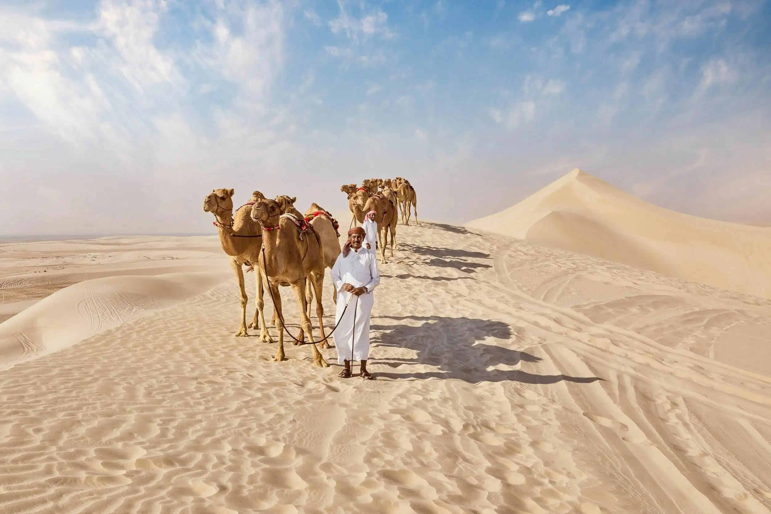 Sealine Sand Dunes