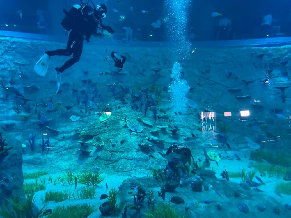 The City Gallery Aquarium