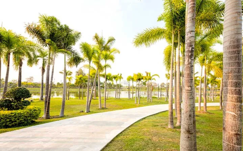 Al Legtaifiya Park