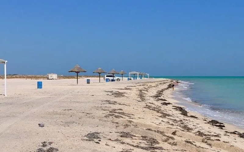 Al Maroona Camping Spot