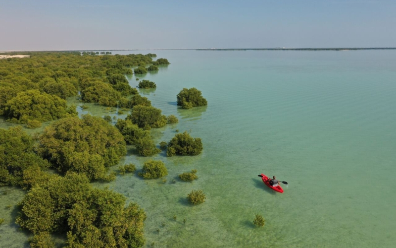 Al Thakhira Camping Spot