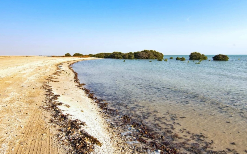 Al Thakira Fishing Spot