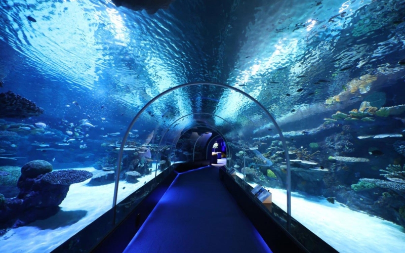 Hamad Port Visitors Centre Aquarium
