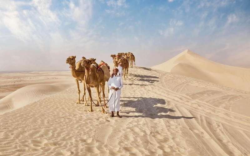 Sealine Sand Dunes