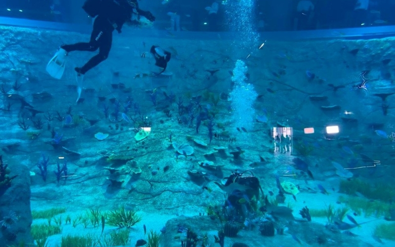 The City Gallery Aquarium