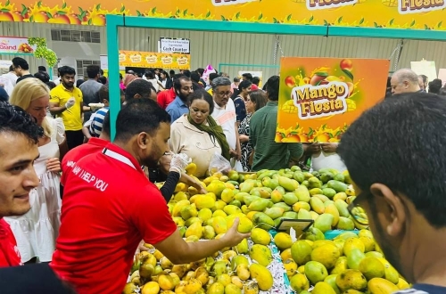 Indian Mango Festival Returns to Souq Waqif with Expanded Offerings and Fresh Flavors