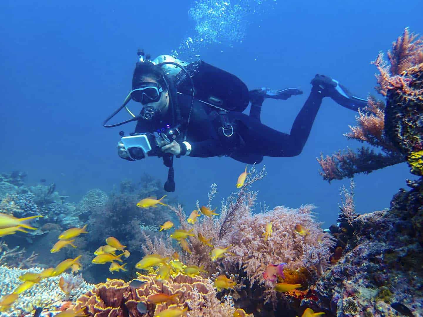 Old Club Reef Diving Spot