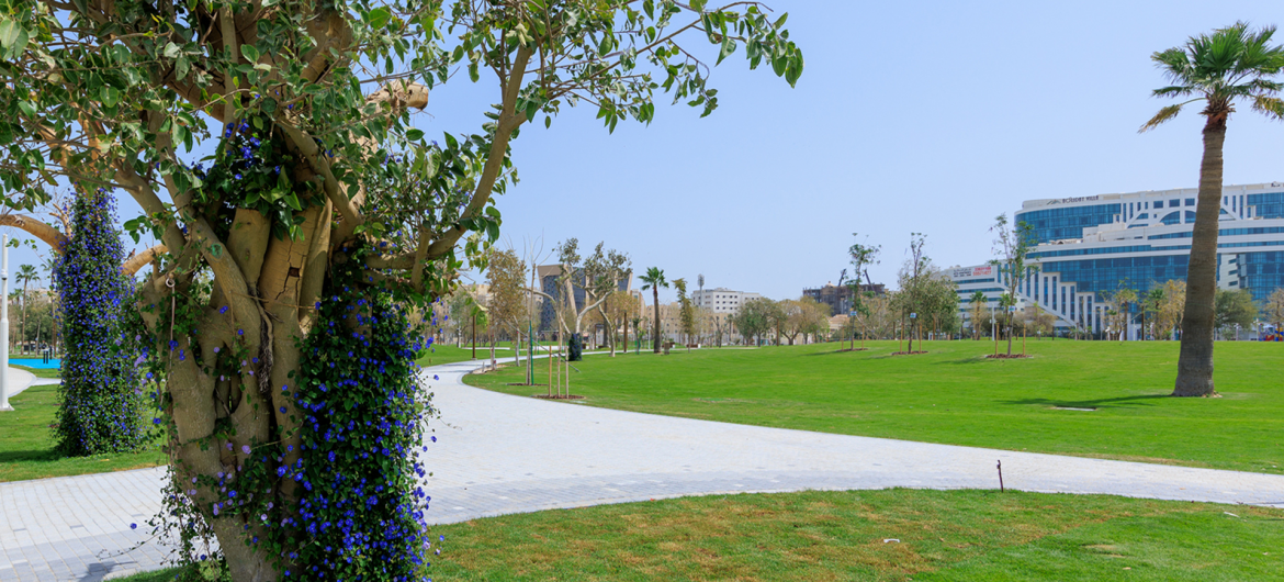 Rawdat Al Khail Park