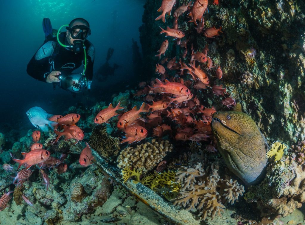 The Barge Diving Spot