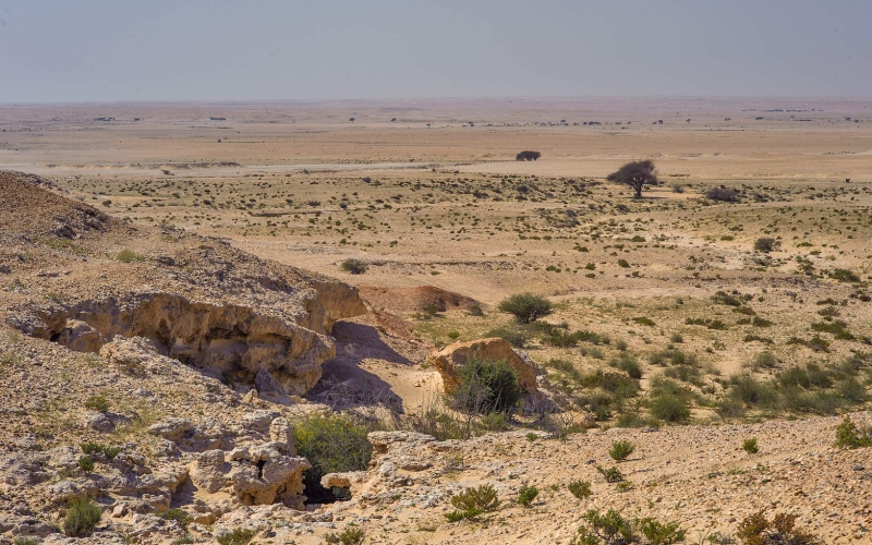 Al Kharrara Desert