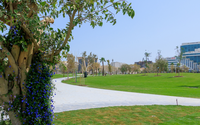 Rawdat Al Khail Park
