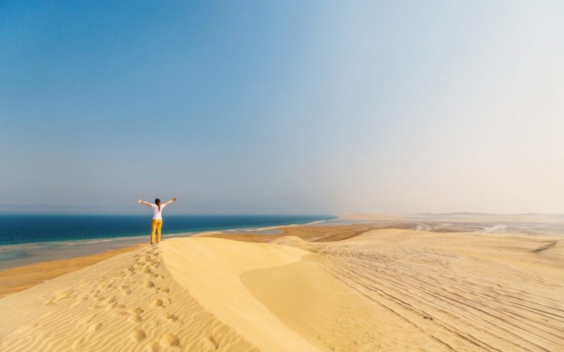 Sealine Desert